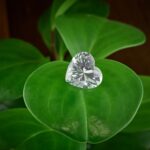 en hjärtslipad diamant som ligger på ett grönt blad